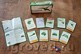 ���������� ���� ��������. ����� ������ (����������) 