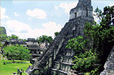 ����� (Tikal) -  � ������������� ������� �����, ������������� � ����� ������ ������������ �������� ���������