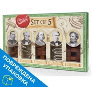 Набор из 5 головоломок Великие Умы (код 1812 Great Minds-Set of 5) с поврежденной упаковкой