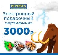 Электронный подарочный сертификат Игроведа номиналом 3000 рублей