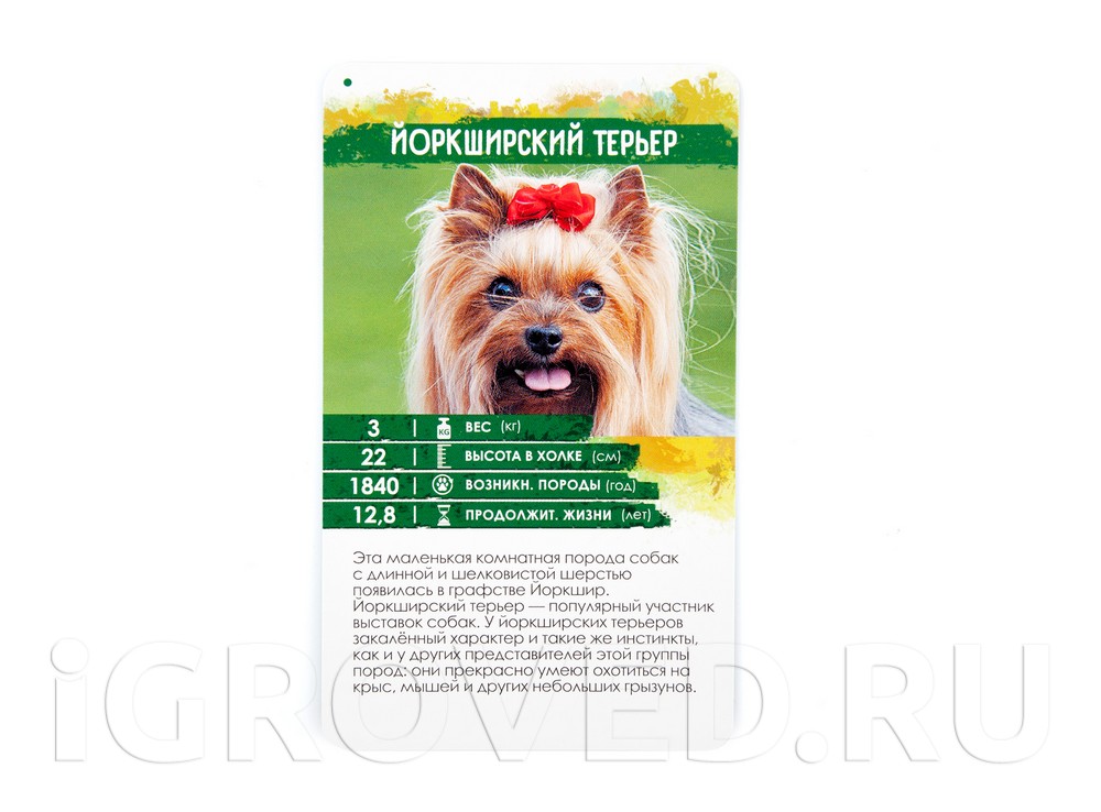 Карточки настольной игры Секреты Планеты: Собаки