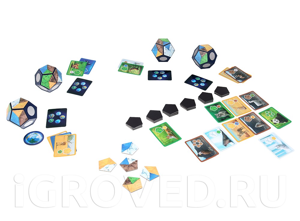 Игровой процесс настольной игры Планета (Planet)