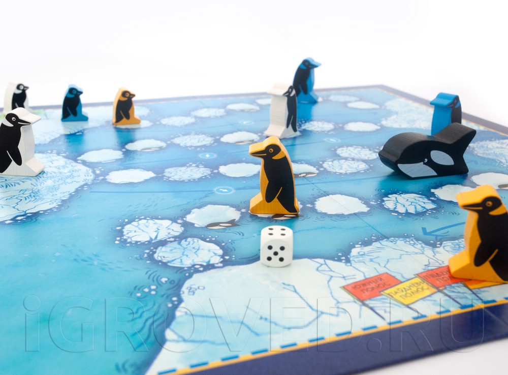 Игровой процесс настольной игры Пинги Понго
