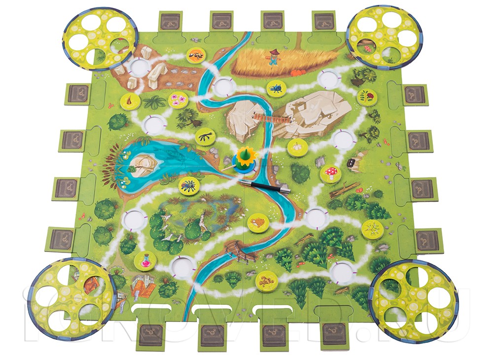 Игровое поле настольной игры Магическая метла (Saus und Braus)