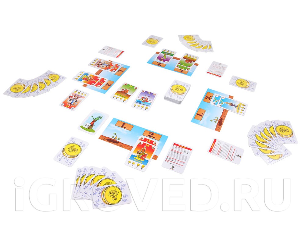 Игровой процесс настольной игры Бонанза