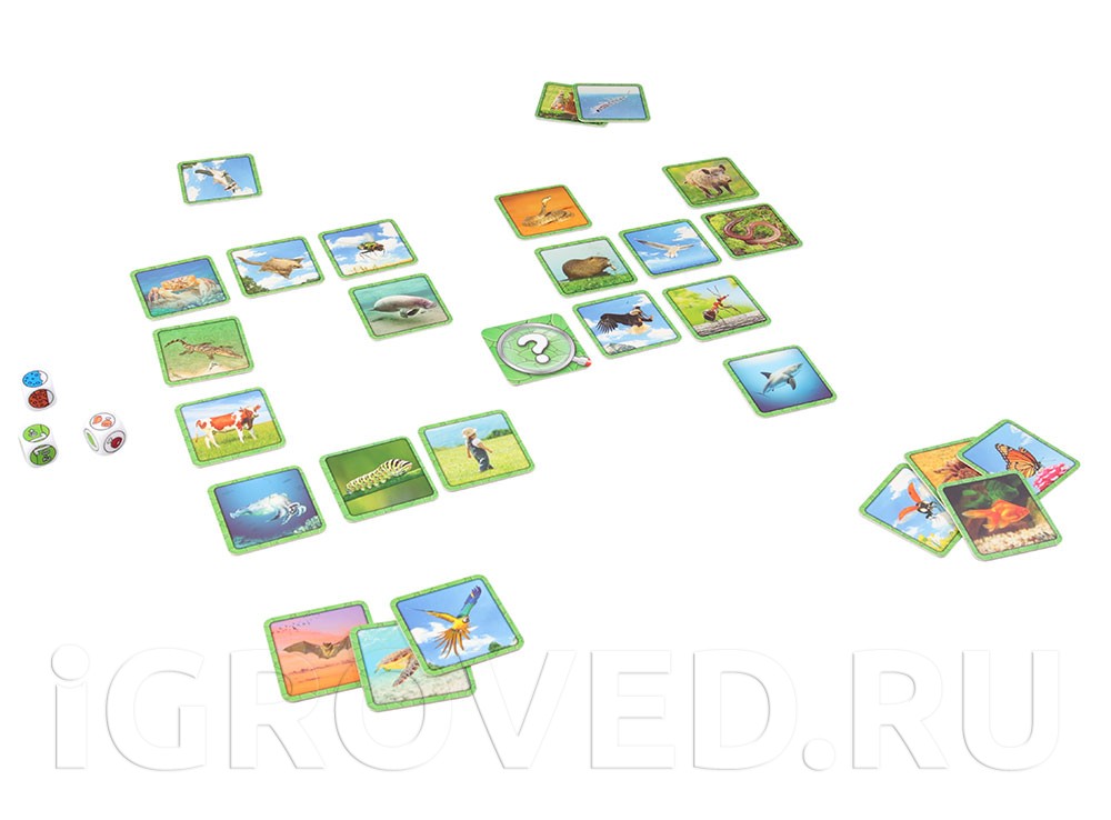 Игровой процесс настольной игры Следопыт (Specific)