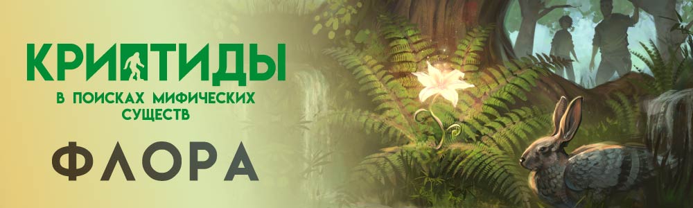 Настольная игра Криптиды баннер