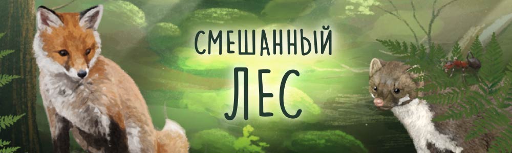 Баннер настольная игра Смешанный лес