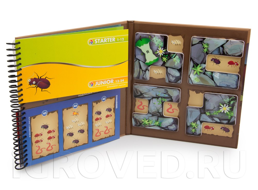 Компоненты настольной игры-головоломки Деловые жуки